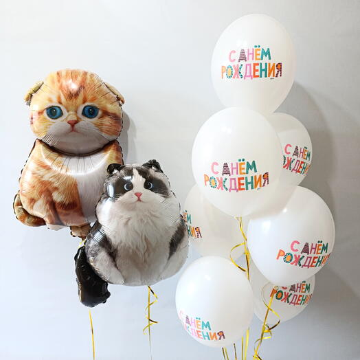 Набор шаров "Котики, С днём рождения " 9 шаров