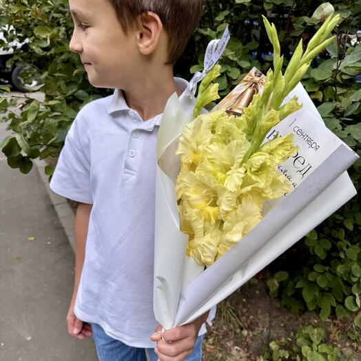 Гладиолусы на 1 сентября 💛
