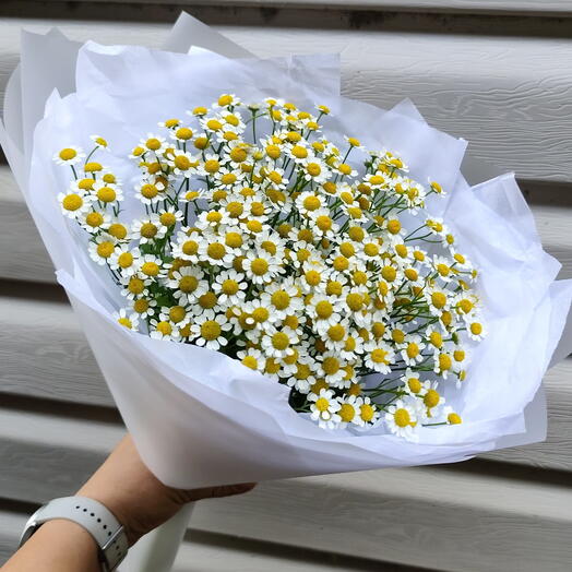 Букет ромашек 🌼 💥