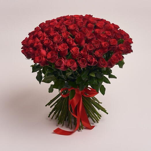 Роза Акция 51