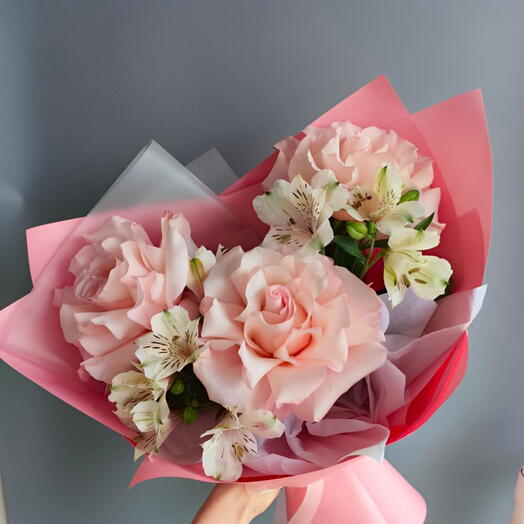 Rose s Blush