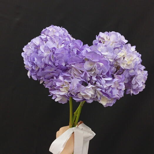 3 гортензии 🌸