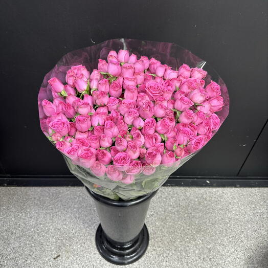 Мини пиончики Гизел 51