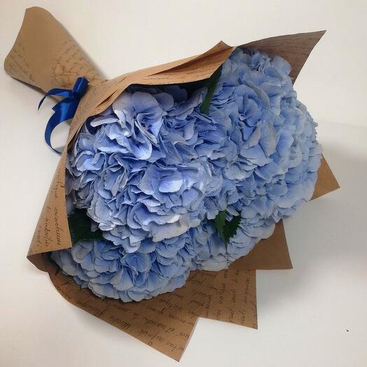 Bouquet of blue hydrangeas