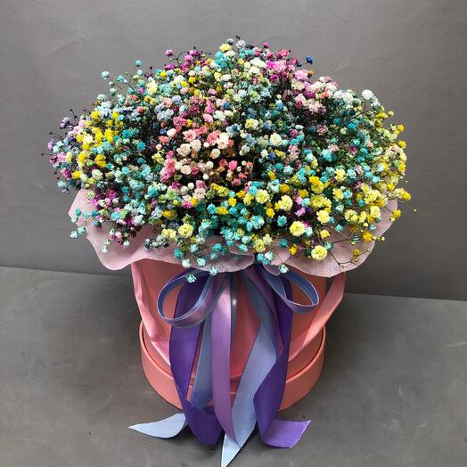 Caja grande de gypsophila arcoíris L
