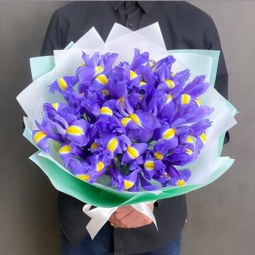 19 iris