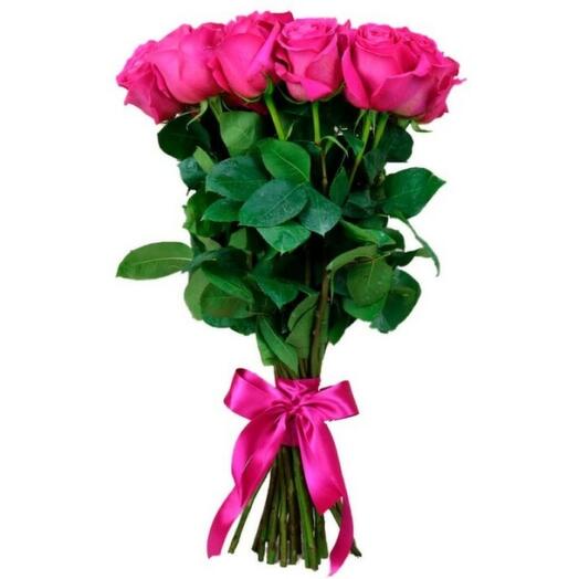 Pink Roses Ecuador