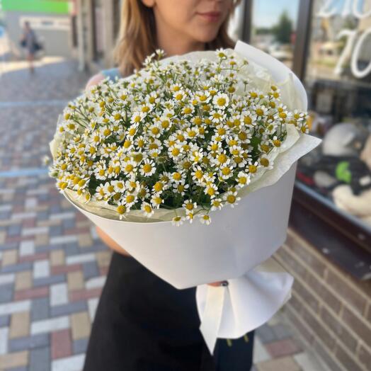 Матрикария х7