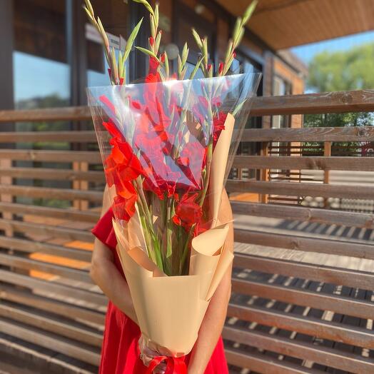 Gladioli 9 pieces
