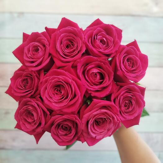 11 rosas Shangri LY