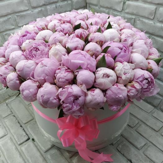 101 peonies in a box