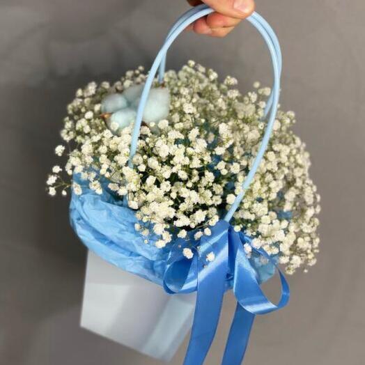 Gypsophilus