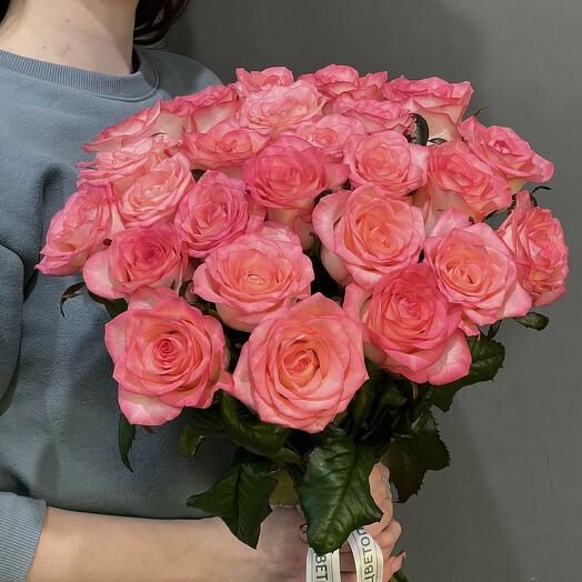 Rosas Jumilia 25 piezas