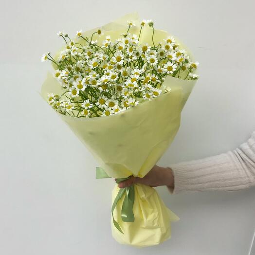 Весенний букет ромашек М 😍 ммм
