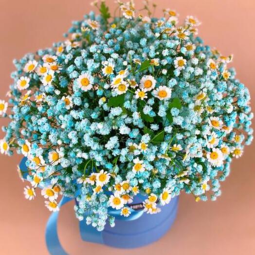 Flowers in a box "Blue Moon"