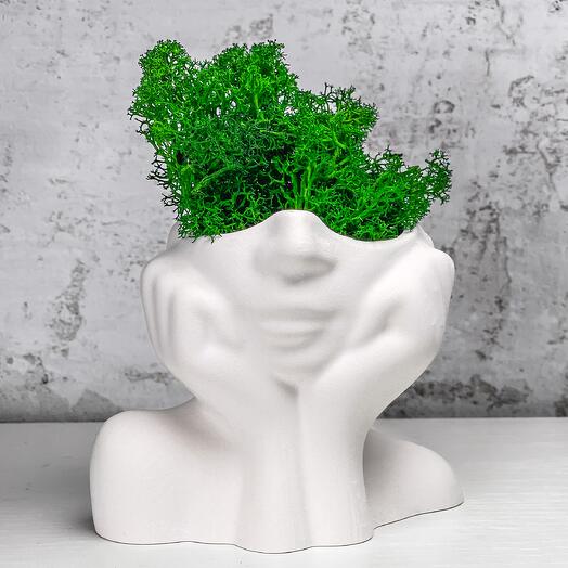 Planters\vase for decor and interior