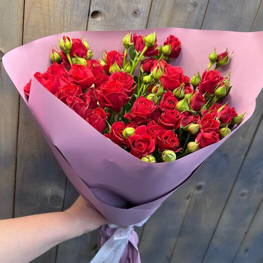 11 rosas de arbusto