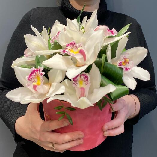 Flores en una Caja de orquídeas
