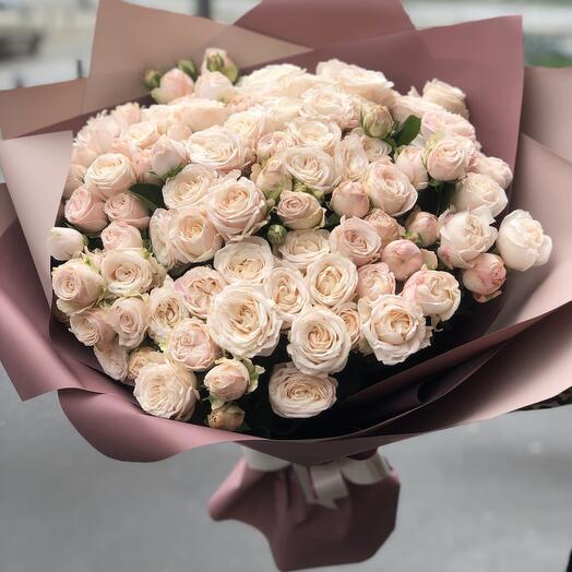 Ternura de rosas arbustivas