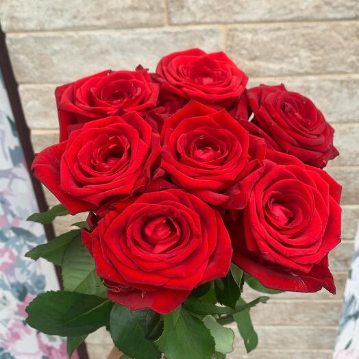 Rosas rojas