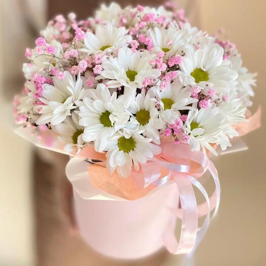Летняя улыбка 💕🌸(хризантемы ромашки и гипсофила)