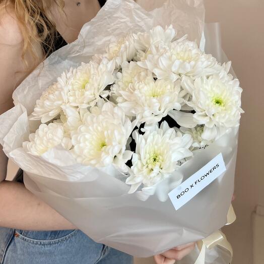 Белые хризантемы М