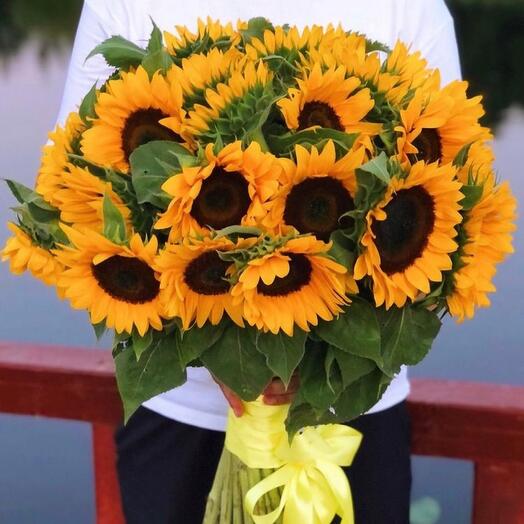 29 Sunflowers