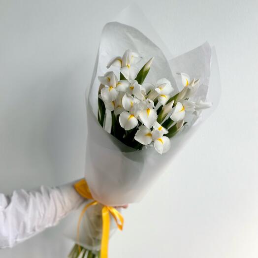 Монобукет из 15 ирисов