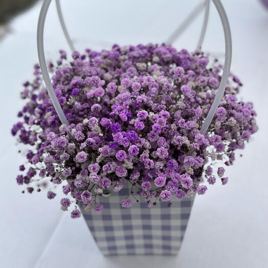 Gipsofila bouquets