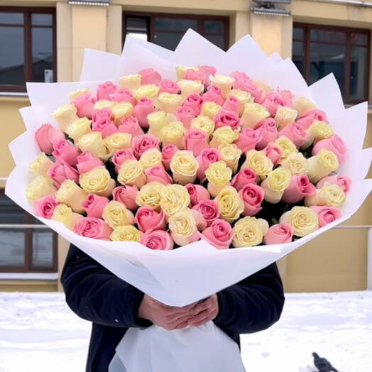 Роза Эквадор Нежность