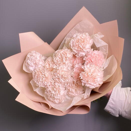 Моно букет из 11 диантусов