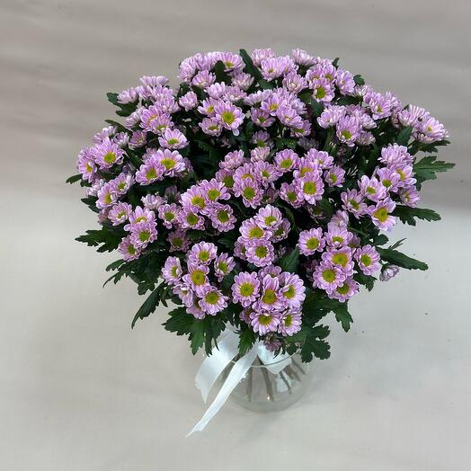 Santini Purple
