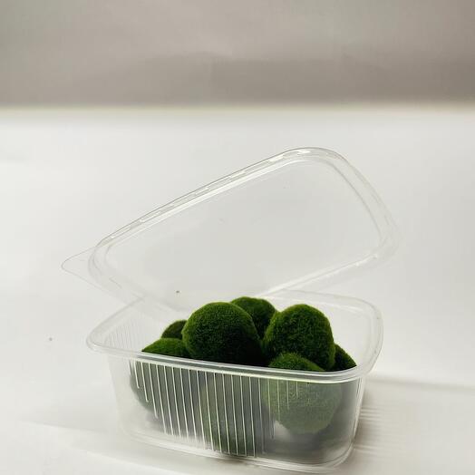 Японские водоросли Маримо / экосистема HEIS