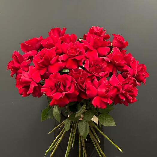 19 Французских роз🌹