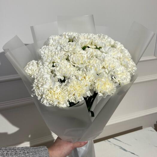 Букет из 25 гвоздик/диантусов