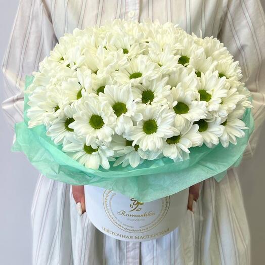 Шляпная коробка из ромашковидных кустовых хризантем