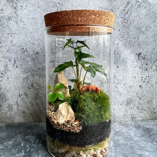 Ecosistema con Hedera y ciervo🦌