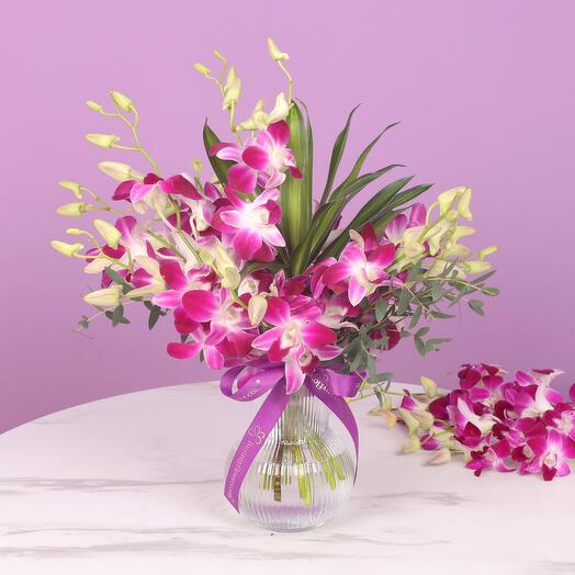 11 Purple Orchid in Vase
