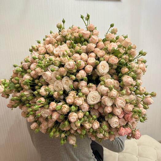 Розы пионавидные