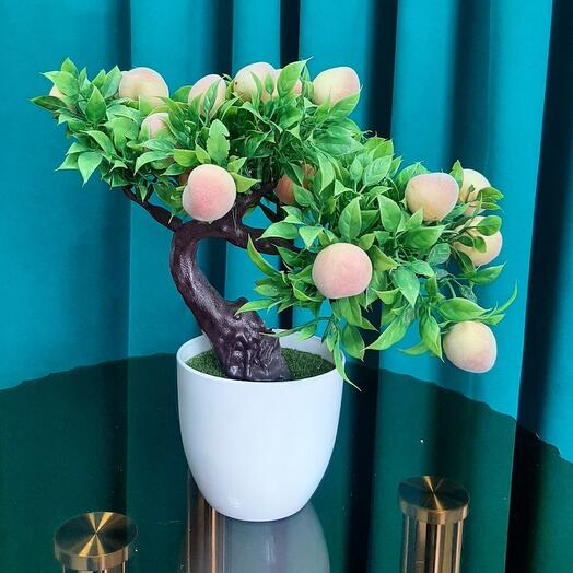 Композиция "Бонсай "