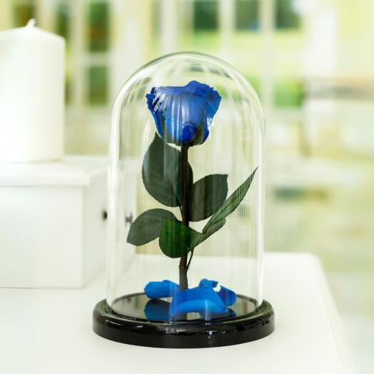 Роза в колбе «Premium» синяя