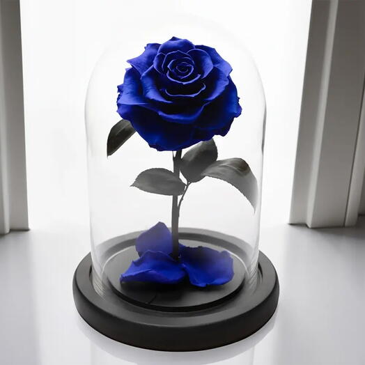 Blue Forever Rose