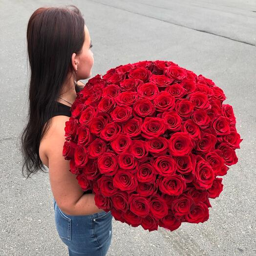 101 rosa