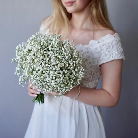 BN Gypsophila