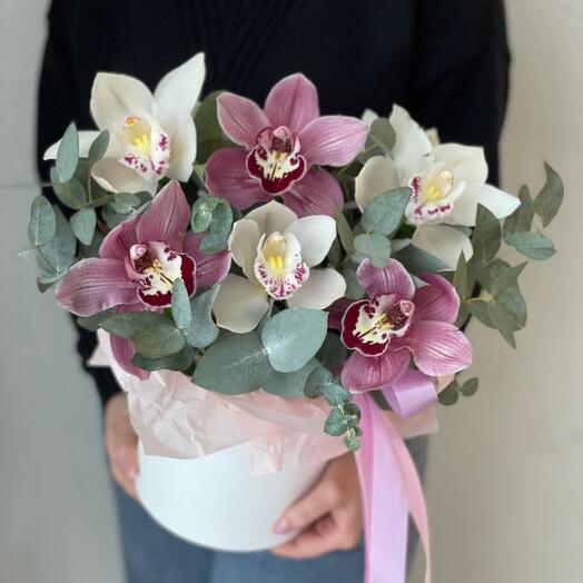 9 orchids in a box