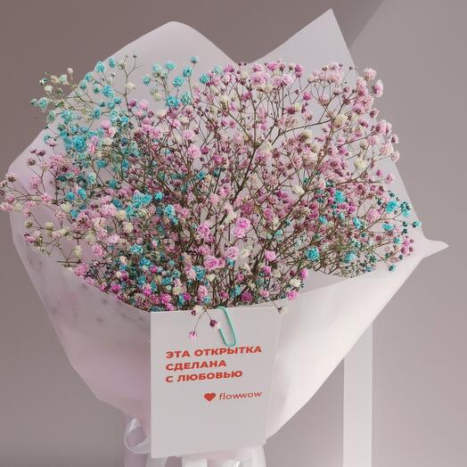 Ramo de gypsophila