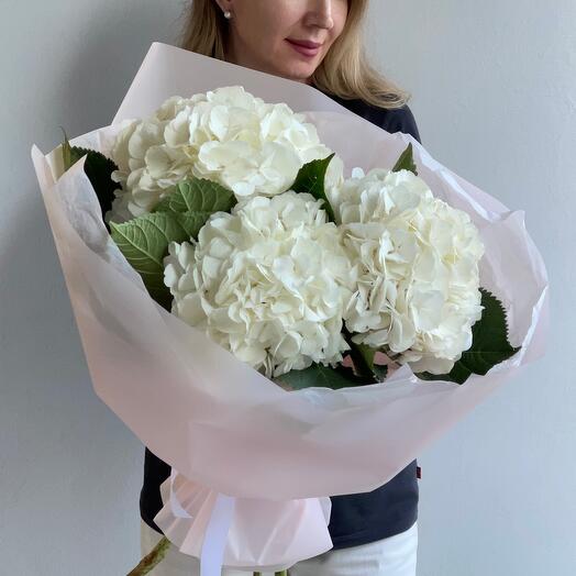 WHITE TRIO букет из 3 гортензий