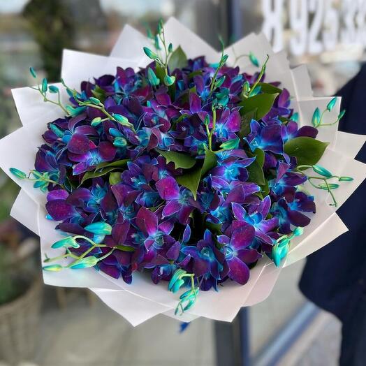 Bouquet of Blue Dendrobiums