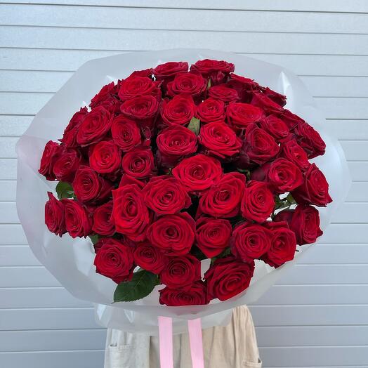51 красная роза 🌹