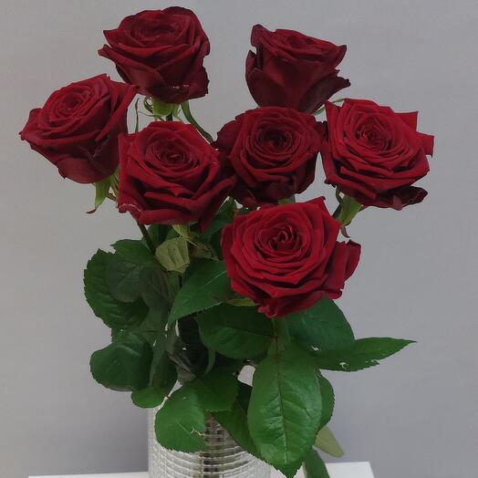 Bouquet of 7 roses Red Naomi